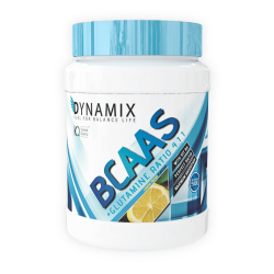 DYNAMIX BCAA + Glutamina 4.1.1 500 gr