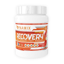 DYNAMIX Recovery 700 gr