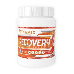 DYNAMIX Recovery 700 gr