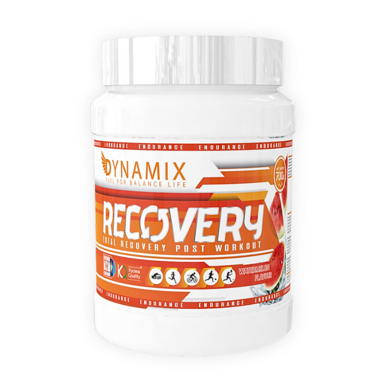 DYNAMIX Recovery 700 gr