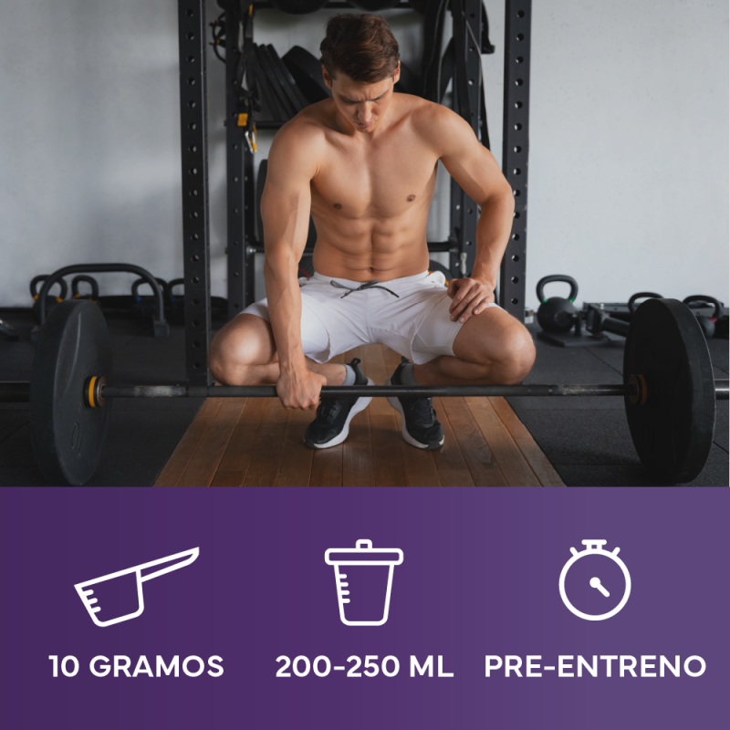 GN NUTRITION Premium Creatina 600G
