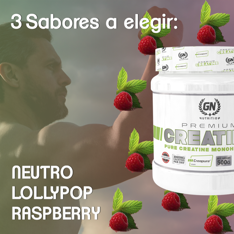 GN NUTRITION Premium Creatina Creapure 500G  | Sin Gluten