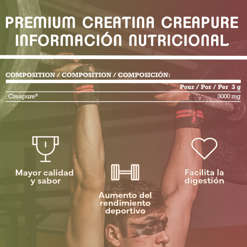 GN NUTRITION Premium Creatina Creapure 500G  | Sin Gluten